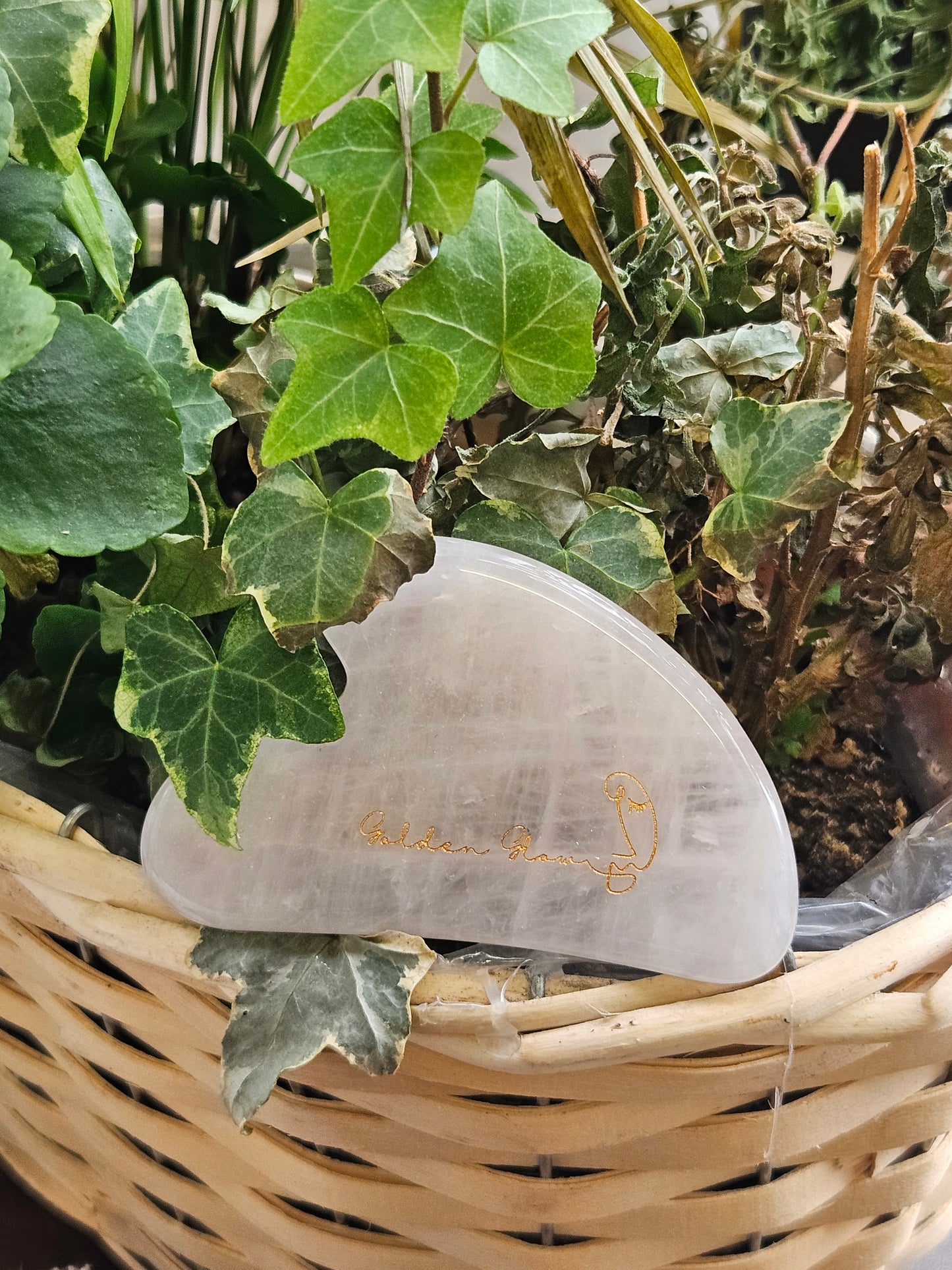 Rose Quartz Gua Sha | Anti Aging Massage Tool | FREE Rose Hip Seed Oil